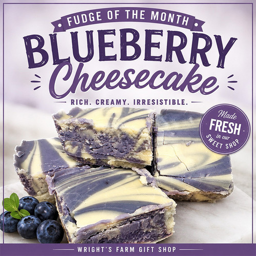 BLUEBERRY CHEESECAKE