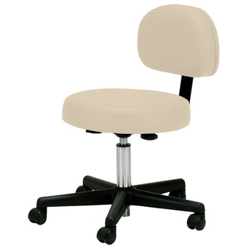 Pneumatic Stool w/ Back Support