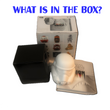 This is the contents of the box