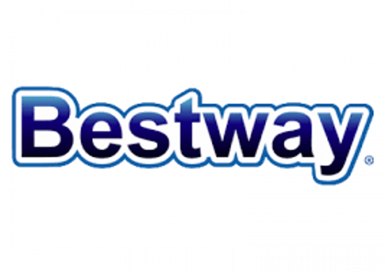 Bestway ( parts , filters , accessories ) Bestway ( parts , filters , accessories )