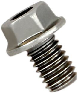 Replacement Exhaust Bolt - P-FB40 - APRILIA RSV4 1000 RF ABS