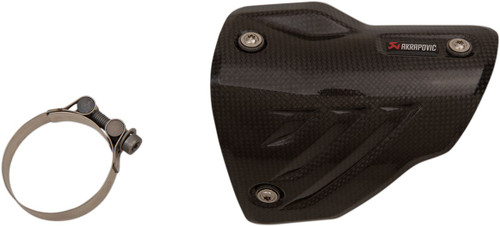 Carbon Fiber Heat Shield - P-HSB10E3 - BMW M 1000 R ABS