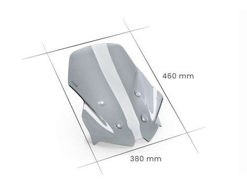 Puig Touring Screen for Voge DS900X (24-26)