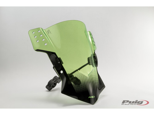 Puig Rafale Screen for BMW R nineT (2014-2024)