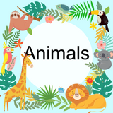 Animals