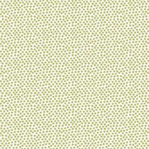Contempo Fabric - Into the Woods - Dot Lime/White
