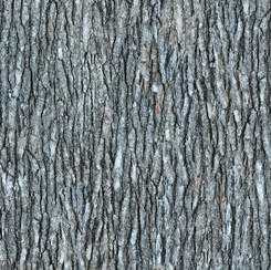 QT Fabric - Open Air - Bark Gray