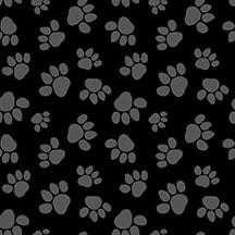 Studio E Fabric - Paw-sitively Awesome || Tossed Paws