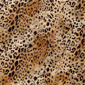Sykel Enterprises Fabric - Who Let the Birds Out - Leopard