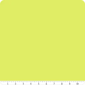 Solids Mojito - Tula Pink Fabric