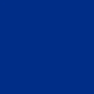 Solids Sapphire - Tula Pink Fabric