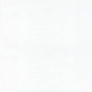 Batiks Hand Dyes Snow White - Riley Blake Designs Fabric BT21000-111 Premier Stitching