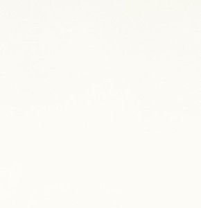 Shannon Fabrics- Solid Cuddle 3 Snow White #c3-snowwhite