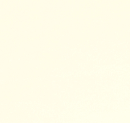 Shannon Fabrics- Solid Cuddle 3 Ivory #sf-c3-ivory