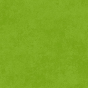 Maywood Studio Fabric - Shadow Play - Apple Green #MAS513-G6