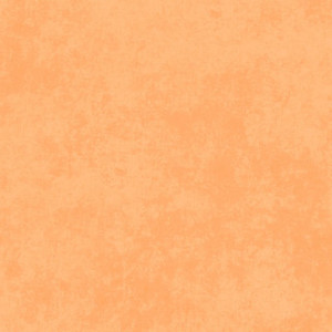 Maywood Studio Fabric - Shadow Play - Clementine #MAS513-OS2