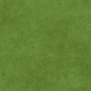 Maywood Studio Fabric - Shadow Play - Pear Green #MAS513-GG7