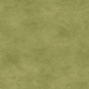 Maywood Studio Fabric - Shadow Play - Nile #MAS513-GG