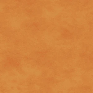 Maywood Studio Fabric - Shadow Play - Sweet Apricot #MAS513-O9