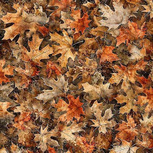 QT Fabrics- Earthly Delights - Maple Leaves - Brown #31291-A