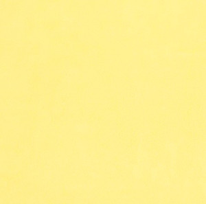 Shannon Fabrics - Solid Cuddle 3 - Banana #c3banana