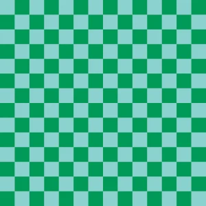 Camelot Fabrics - Serving Summer - Check It Out - Aqua #58240507-02