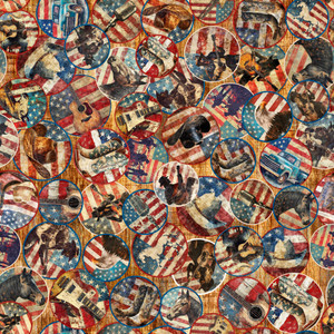 QT Fabrics - American Country - Vignettes #31992-t