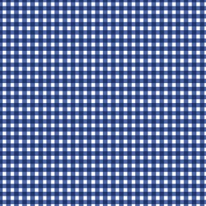 Maywood Studio Fabrics - Beautiful Basics - Classic Check - Blue & White #mas610-n4