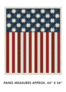 Benartex - American Valor - American Valor Panel - Navy/Red #16871-57