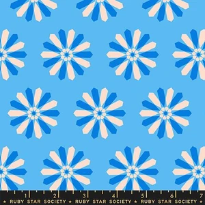 Ruby Star Society Fabric - Sparkle Mart - Freshly Picked - Altitude #RS0119-13