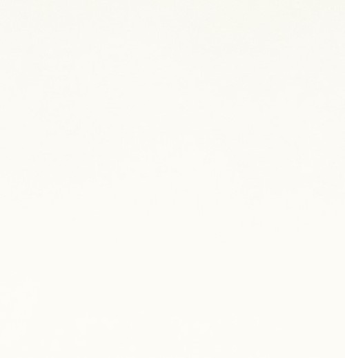 Shannon Fabrics- Solid Cuddle 3 Snow White #c3-snowwhite