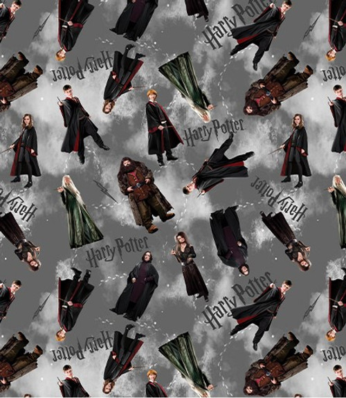 Benartex Fabrics - Harry Potter - Characters - Gray #15217-11