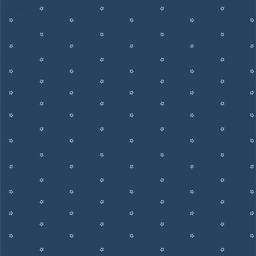 Art Gallery Fabrics - Bloomin Americana - Star Light #bam-47111