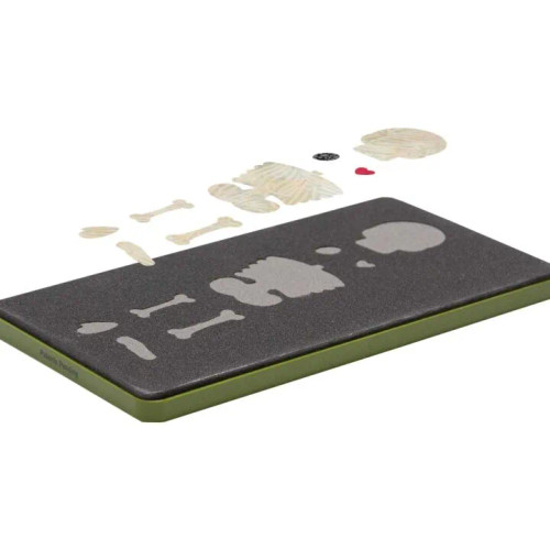 GO! Skeleton by Chris Marchini Die (accu-55925