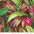 Kaffe Fassett Collective 2024 Jungle - Neutral