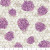 Bee Haven Clover Dot Natural - Benartex Fabric