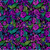Vivid Floral Jewel - In The Beginning Fabric