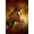 Focus On Fabric - Paint Horse In Bridle Panel #fofahs-025