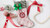 Baby Lock Fills & Motifs Holiday Collection #1 Premier Stitching