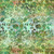 In The Beginning Fabrics - Evanescence - Bouquet - Green #ibf2ev-3