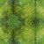 In The Beginning Fabrics - Evanescence - Circles - Green #ibf10ev-1
