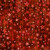 QT Fabrics - American Country - Stars - Red #31997-r