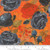 Moda Fabrics - Coven - Rose Large Floral - Pumpkin #48800-12