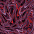 Benartex Fabric - Illumination - Luminary Swirl - Plum/Red #16882-66