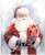 Riley Blake Designs - Picture a Christmas II - Panel #PD17980-PANEL