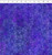 In The Beginning Fabrics - Dear Clara - Bloom - Purple #10dcl-2