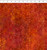 In The Beginning Fabrics - Dear Clara - Bloom - Orange #10dcl-1