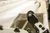 Handi Quilter Pole Cradles (set of 2) (HQ-QF10021)