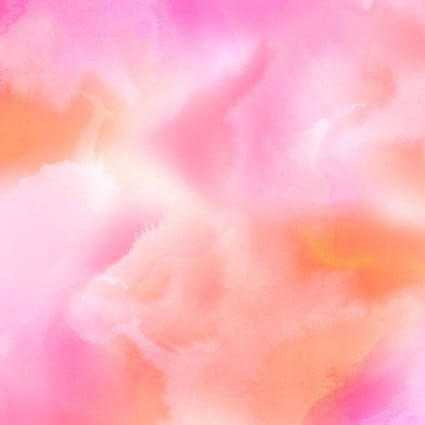 Maywood Studio Fabric - Bloom Bright 675 PO