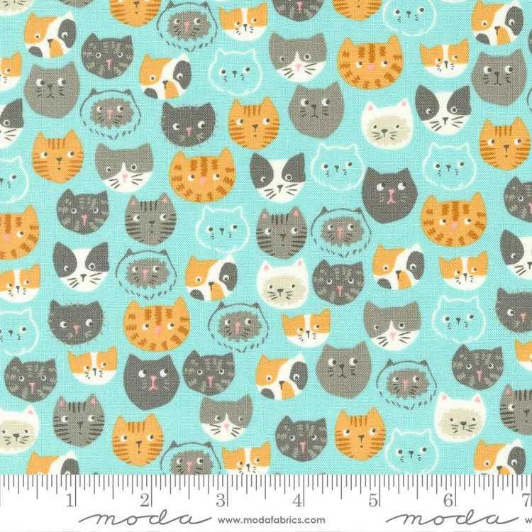 Moda Fabric - Here Kitty Kitty - Novelty Cats - Aqua